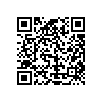 Y16306K80000A9R QRCode