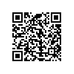 Y163510R0000B0L QRCode