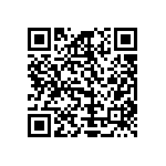 Y16362K03000T9R QRCode