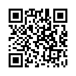 Y1691V0295BT9L QRCode