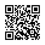 Y1691V0387BA0L QRCode