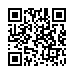 Y1691V0391BB0L QRCode