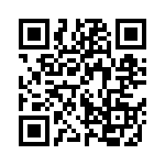 Y1691V0430VV9L QRCode