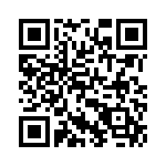 Y1691V0481VV9L QRCode