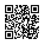 Y1713V0517BT9L QRCode