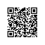 Y17451K00000T9L QRCode