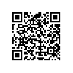 Y17452K21000Q9R QRCode