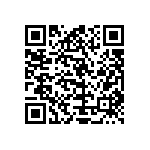 Y174876R3300T9L QRCode