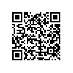 Y17581K80000T0L QRCode