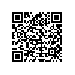 Y4027100K000T9W QRCode