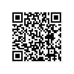 YB25SKW01-28-BB QRCode