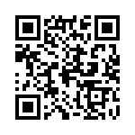 0001-1013-PT QRCode