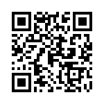 0009521060 QRCode