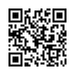 0293060-T QRCode