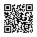 0295080-H QRCode