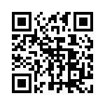 0295100-T QRCode