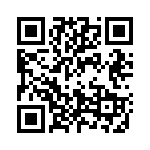 0310389 QRCode