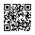 0313-100VXP QRCode