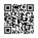 0382101217 QRCode