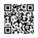 0385416610 QRCode