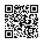 0387248604 QRCode