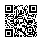 0391001011 QRCode