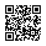 04025C391KAT2A QRCode