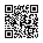 04025C391MAT2A QRCode