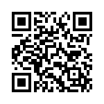 04025C560JAT2A QRCode