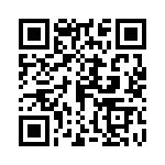 0410111300 QRCode