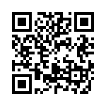 04811-33HXL QRCode