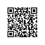 0505J0636P80CQT QRCode