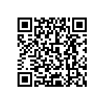 0505J3006P80DQT QRCode