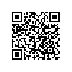 0505Y1003P60BQT QRCode