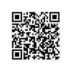 0505Y2009P10CQT QRCode