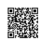 0505Y200P300DQT QRCode