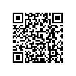 0505Y200P500BQT QRCode