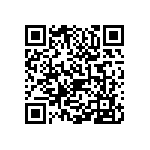 0505Y2501P60BQT QRCode