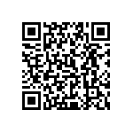 0505Y250P300BQT QRCode