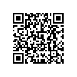 0505Y3001P60HQT QRCode