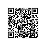 0505Y3002P20DQT QRCode