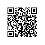 0505Y3006P20DQT QRCode