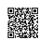 0505Y300P600DQT QRCode