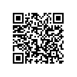 0505Y300P700BQT QRCode