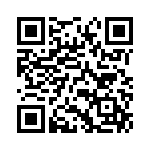 06031A220G4T2A QRCode