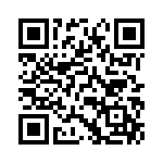 0697W1250-02 QRCode