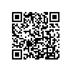 0805J2505P10CQT QRCode