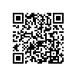 0805J3001P80CQT QRCode