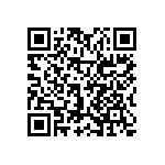 0805J5001P40BQT QRCode