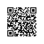 0805Y1002P20CQT QRCode